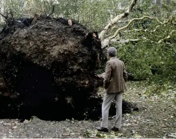  ??  ?? LEFT:
Around 15 million trees were uprooted during the storm, including historic specimens at Kew Gardens and Hyde Park