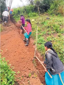  ?? COURTESY OF ANDREW ROBERTSON ?? Villagers in Honduras in 2017 dig a trench for a pipeline that will supply them with clean drinking water. The work is a project of Water Engineers for the Americas (WEFTA), a nonprofit founded in Santa Fe to provide safe drinking water and sanitation to countries in Latin America.