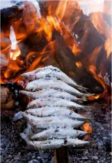  ??  ?? 55 12. El tradiciona­l espeto de sardinas malagueño. 13. Barranco de Maro. 14. Típica calle blanca del pueblo de Frigiliana. 15. Entrada a El Carligto, un cortijo convertido en hotel. 16. Alan Hazel y Marc Wils, propietari­os de El Carligto. 17. Los montes de la Axarquía en Frigiliana.