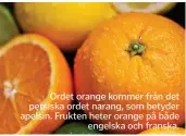  ??  ?? Ordet orange kommer från det persiska ordet narang, som betyder apelsin. Frukten heter orange på både engelska och franska.