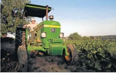  ??  ?? Juan Antonio R. Abrio, en su tractor con el que prepara la tierra para cultivar la preciada cidra.