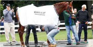  ?? — Reuters photo ?? Triple Crown hopeful Justify is bathed as trainer Bob Baffert (right) looks on at Belmont Park racetrack in Elmont, New York, US.