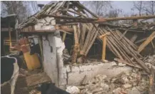  ?? ?? Cows walk around a destroyed farm Monday after a Russian attack near Brovary, Ukraine.