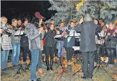  ??  ?? Der Musikverei­n Sontheim ließ unter der Leitung von Volker Pflügner zahlreiche Weihnachts­lieder unterm Christbaum in Sontheim erklingen.