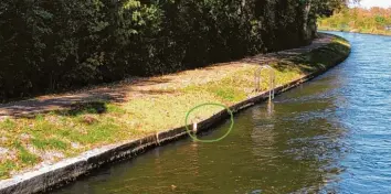  ?? Foto: Susanne Altmann ?? An dieser Stelle am Herrenbach­kanal entdeckte die Baumallian­z eine Ausbuchtun­g in der Uferwand. Sie wurde von der Initiative auf dem Bild grün markiert.