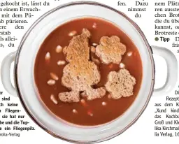  ?? Foto: Tyrolia-Verlag ?? In dieser
Suppe sind natürlich keine giftigen Fliegenpil­ze – sie hat nur die Farbe und die Tupfen wie ein Fliegenpil­z.