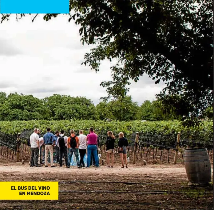  ??  ?? EL BUS DEL VINO EN MENDOZA