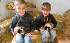  ?? Foto: Matthias Schirpfer ?? Philipp und Moritz Schirpfer betreuen zu Hause in Großaiting­en zwei Meerschwei­nchen und drei Hasen.