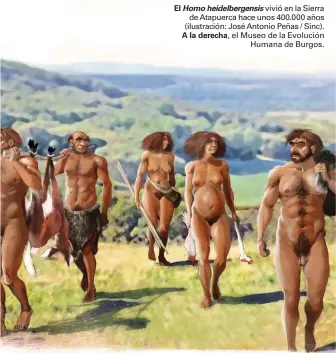  ??  ?? El Homo heidelberg­ensis vivió en la Sierra de Atapuerca hace unos 400.000 años (ilustració­n: José Antonio Peñas / Sinc). A la derecha, el Museo de la Evolución Humana de Burgos.