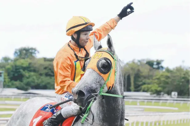  ?? Picture: JUSTIN BRIERTY ?? COME FROM BEHIND: Jockey Stephen Wilson is all smiles after his win on Grey Missile at Cannon Park.