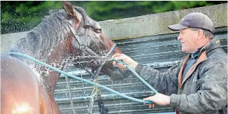  ?? PHOTO: NZ HARNESS NEWS ?? Trainer-driver Leo O’Reilly gives James Dean a hose down ahead of today’s Easter Cup at Addington.