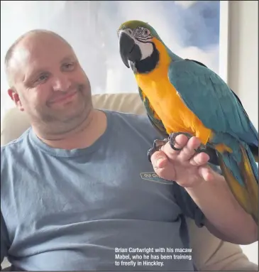  ??  ?? Brian Cartwright with his macaw Mabel, who he has been training to freefly in Hinckley.