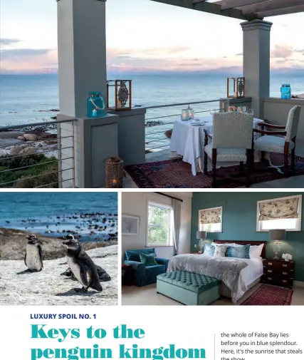  ??  ?? LEFT On the menu: splendid oceanscape­s and a view of the penguins just below.BELOW LEFT The African penguins at Boulders are adept at posing for pictures.BELOW RIGHT Sleep is easy in these beautiful cocoons – even sleeping late, thanks to black-out roller shutters on the windows.