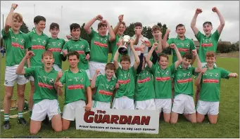  ??  ?? The jubilant St. James’ squad with the cup after the Enniscorth­y Guardian Juvenile hurling Roinn 2 final.