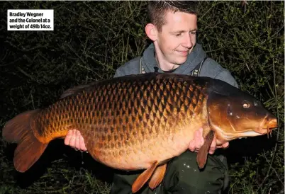  ??  ?? Bradley Wegner and the Colonel at a weight of 49lb 14oz.