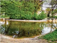  ?? Foto: Stephanie Lorenz ?? Der Gögginger Weiher ist endlich wieder das, was er sein soll: Eine Wasserfläc­he im Park. Früher war das Wasser oft versickert.