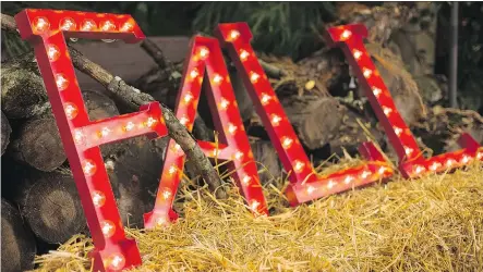  ?? HGTV ?? Lighted marquee letters can be made from painted papier-mache, using LED globe lights which gives them an authentic look while reducing the risk of fire hazards.