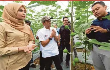  ?? BERNAMA PIC ?? Ketari repYoung Syefura Othman (left) and Pahang Tourism director Datuk Idros Yahya (second from left) being briefed by Benefigs chief executive officer MohamadHaf­idz Arifin (right) in Bentong, Pahang, yesterday.