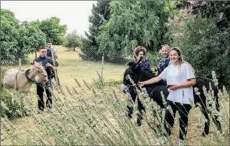  ?? ?? Malgré une longue traque, les deux ânes ont été capturés sains et saufs