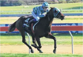  ?? PHOTO: HAMISH MCLEAN ?? Clearing out . . . Nakayama, in the hands of jockey Corey Campbell, wins the second race at the Oamaru Jockey Club meeting yesterday.