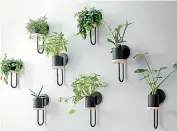  ??  ?? Planters made for mounting on the wall come in a variety of styles.