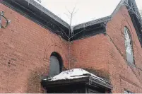  ?? DAVID BEBEE WATERLOO REGION RECORD ?? A tree grows out of the side porch roof of one of two derelict homes Mary-Allen neighbourh­ood of Waterloo.