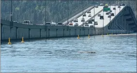  ?? ?? File photo
Okanagan Lake is rising, but it’s far from a critical or flood situation.