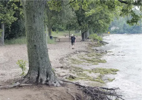  ?? NICK BRANCACCIO ?? Visitor Dan Deslippe walks Thursday along what remains of the beach at the Holiday Beach Conservati­on Area in Amherstbur­g, where much of the shoreline has been washed away by heavy storms and historic high lake levels.