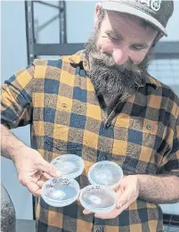  ?? SIGNE LANGFORD ?? Derick Greenly holds Petri dishes with mushroom spores. It can take up to eight weeks to grow into dinner-worthy mushrooms.