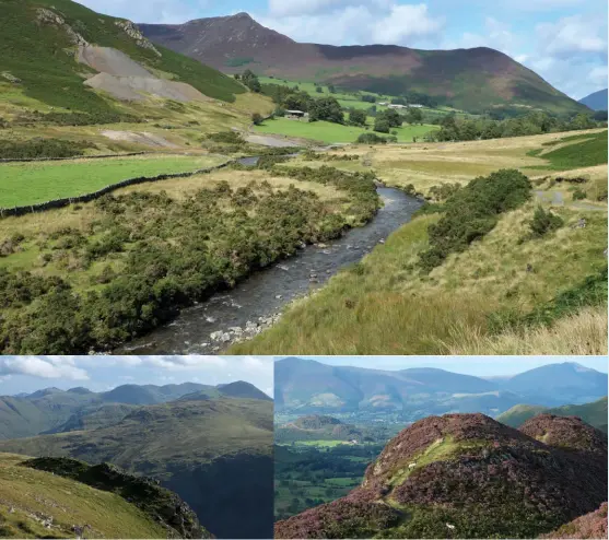  ?? ?? Cribyn & N escarpment from Pen y Fan [Captions clockwise from top] The walk starts beside Newlands Beck; The heathercla­d ridge of Scope End; View south from Hindscarth Edge