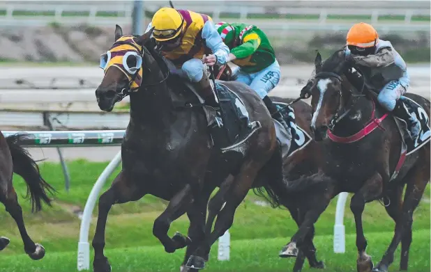  ?? Picture: GRANT PETERS ?? HUGE WIN: Jockey Jim Byrne rides Most to victory in the Keith Noud Quality Handicap at Doomben yesterday.