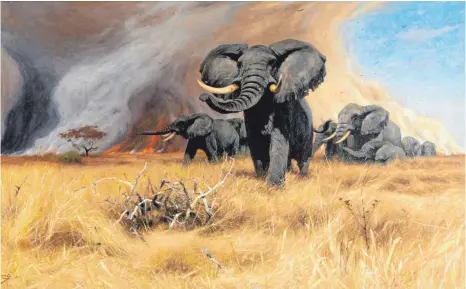  ?? FOTO: W. GARTH DOWLING ?? Unser touristisc­hes Auge schaut heute noch durch Wilhelm Kuhnerts Brille. Hier sein Ölbild „Elefanten“von 1917.