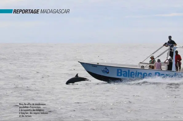  ??  ?? Nosy Be offre de nombreuses possibilit­és d’excursions à la rencontre des dauphins à long bec, des requins-baleines et des tortues.