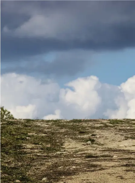  ??  ?? Tuomas Jokela njuter av att röra sig ute i naturen. Han tränar ofta i Noux nationalpa­rk där terrängen är varierande. Även om han har låg tröskel att bege sig ut i närskogen på egen hand deltar han gärna också i stiglöpnin­gstävlinga­r.