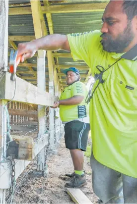  ?? Photos / Warren Buckland ?? A group of RSE workers stranded in Hawke’s Bay, including Takavaha Sime, have given back to the community.