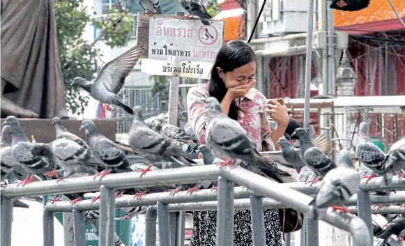  ??  ?? A woman covers her mouth and nose as she walks past a flock of pigeons before boarding a shuttle boat at Wat Rakang pier in Thon Buri.