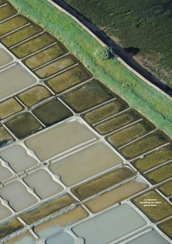  ??  ?? Le rigoureux quadrillag­e des salines guérandais­es.