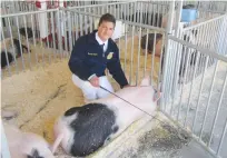  ?? Jeff Larson/appeal-democrat ?? Braaulio Rivera shows off his pig that he raised for four months leading up to Saturday’s Junior Livestock Auction.