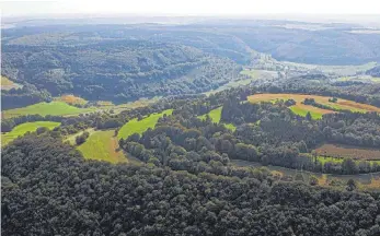  ?? FOTO: BENJAMIN WALDMANN ?? Ein Einblick aus der Vogelpersp­ektive zeigt den Reichtum und die Vielfalt dieser Landschaft – Wälder, Wacholderh­eiden und Äcker des Naturschut­zgebiets Kaltes Feld