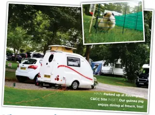  ??  ?? MAIN Parked up at Ravenglass C&amp;CC Site INSET Our guinea pig enjoys dining al fresco, too! Ravenglass Camping and Caravannin­g Club Site