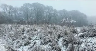  ??  ?? A sprinkling of snow covers the Berkshire/Hampshire border