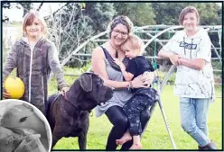  ??  ?? Left: Joanna Harris at home in Wellsford with her children; below: the team training on a Resusci Anne QCPR manikin at Auckland City Hospital; inset: Joanna Harris being treated at Auckland City Hospital after the crash.