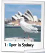  ??  ?? 1: per in Sydney
O