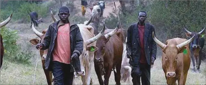  ??  ?? Herdsmen plying their trade