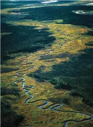  ??  ?? Robert Glenn Ketchum, Endless Meanders, 1998, Fuji Crystal Archive print, from NO PEEDLE MINE Campaign. © Robert Glenn Ketchum.
Robert Glenn Ketchum, Upper Lake Cohasset, Harriman State Park, 1983, Cibachrome print, from The Hudson River and the Highlands. © Robert Glenn Ketchum.