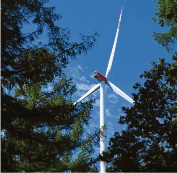  ?? Foto: Marcus Merk ?? Im Scheppache­r Forst (Foto) gibt es bereits Windräder. Bei Dinkelsche­rben sollen sie 250 Meter hoch werden.