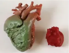  ?? STEVE RUSSELL/TORONTO STAR ?? 3D-printed infant hearts are scanned from real hearts with defects.