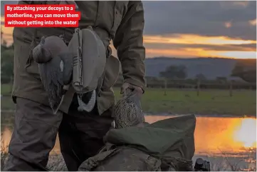  ??  ?? By attaching your decoys to a motherline, you can move them without getting into the water