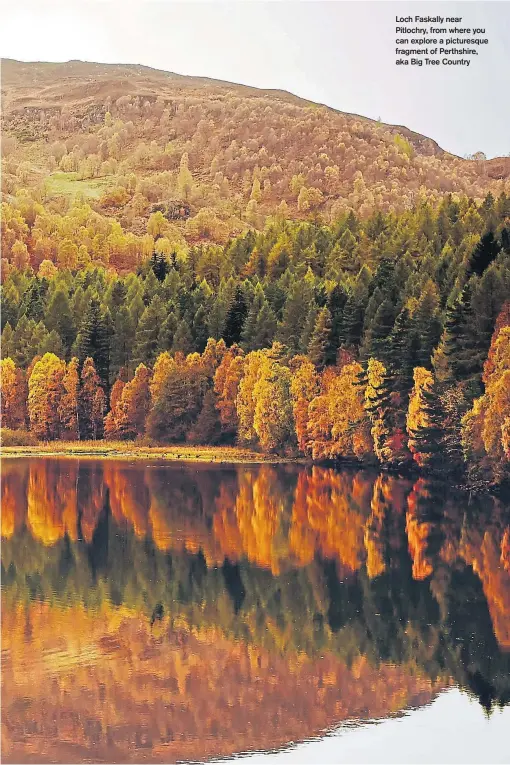  ??  ?? Loch Faskally near Pitlochry, from where you can explore a picturesqu­e fragment of Perthshire, aka Big Tree Country