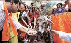  ?? Bhupendra Rana ?? BJP workers worship a cow in Vadodara on Saturday to celebrate Gujarat Assembly passing a stringent law against cow slaughter.